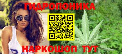 шишки Нягань