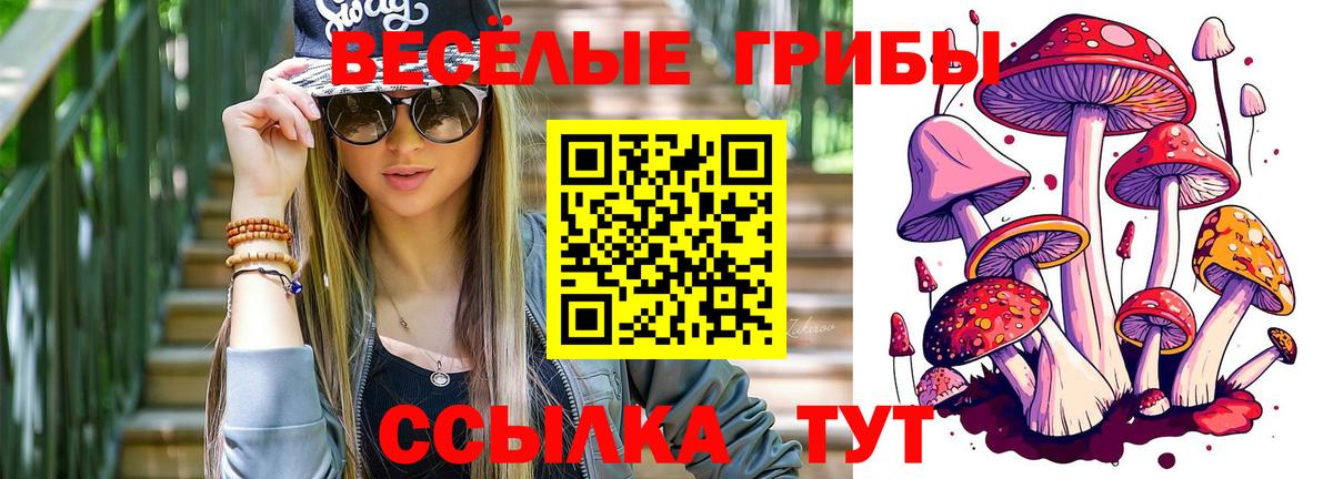 Алатырь  Псилоцибиновые грибы Psilocybine cubensis  Вход с VPN  Галлюциногенные грибы Psilocybe 